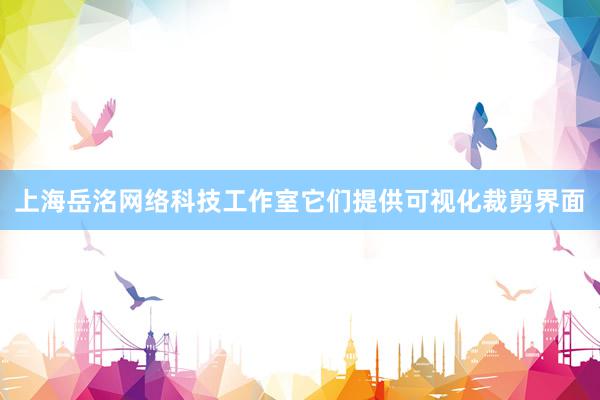 上海岳洺网络科技工作室它们提供可视化裁剪界面