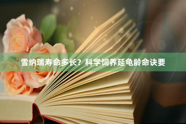 雪纳瑞寿命多长？科学饲养延龟龄命诀要