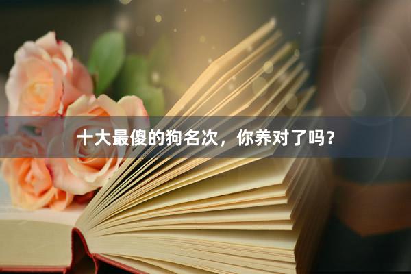 十大最傻的狗名次，你养对了吗？