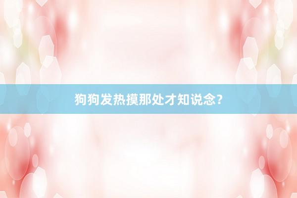 狗狗发热摸那处才知说念？