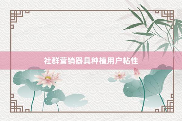 社群营销器具种植用户粘性